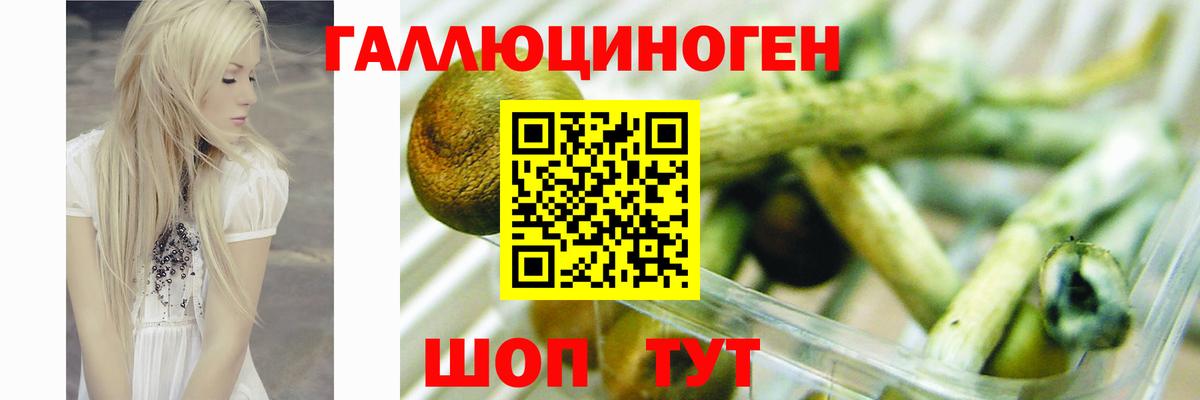 Галлюциногенные грибы Magic Shrooms  магазин    Ейск  Вход с VPN 
